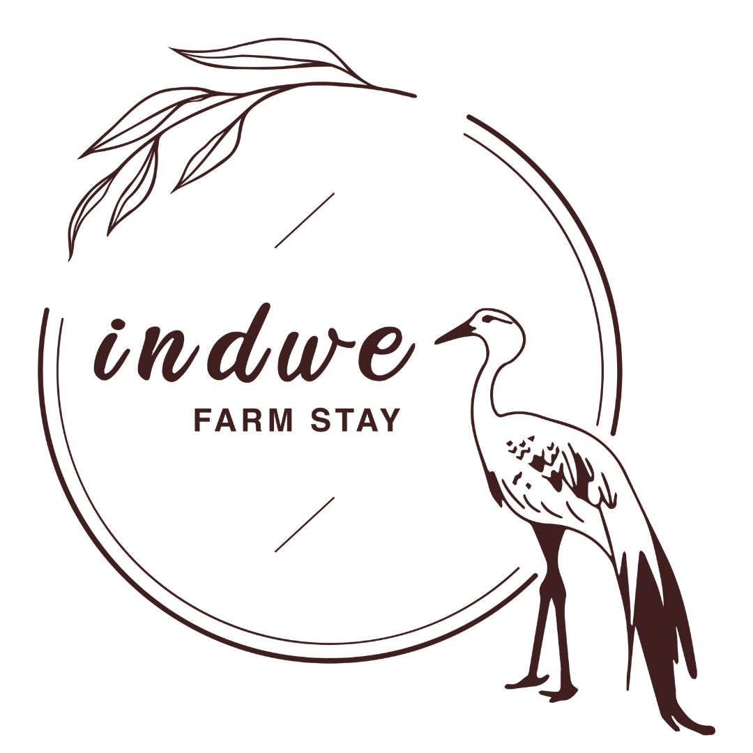 Indwe Farm Stay