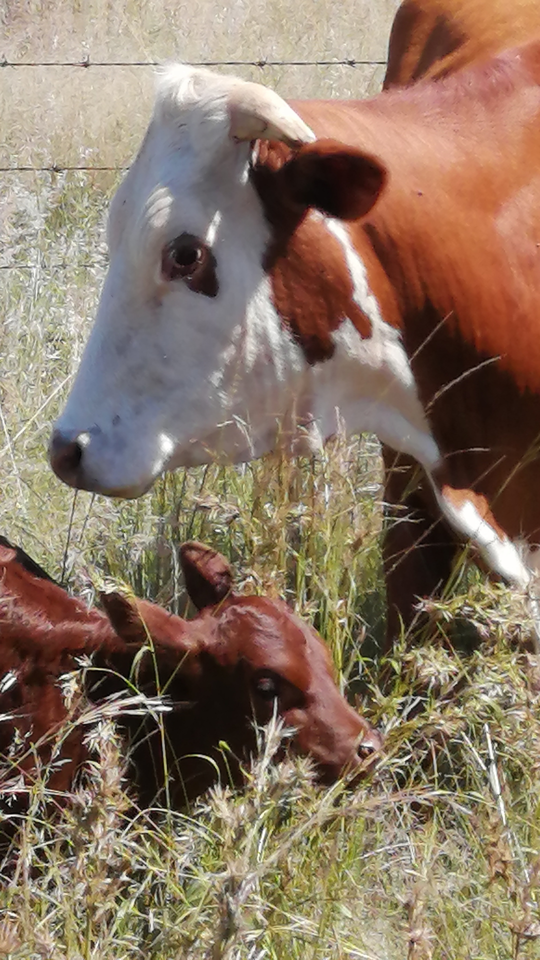 Untitled design (18)